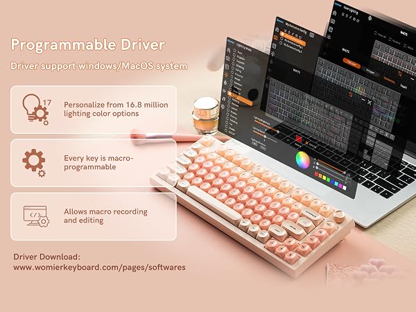 Programmable Driver