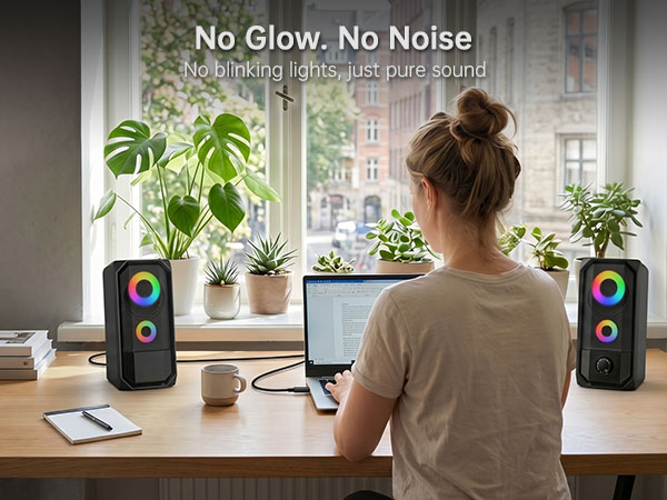 comuputer speaker