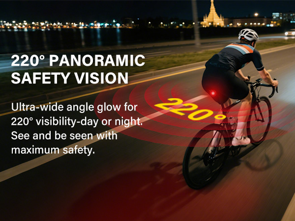 220° PANORAMIC SAFETY VISION