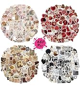 BOMICHI 480 Pcs Aesthetic Stickers Pack - Vintage Vinyl Stickers for Scrapbook, Journaling, Lapto...
