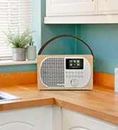 LEMEGA M2P WiFi Internet Radio,FM Digital Radio, Spotify Connect, Bluetooth Speaker, Dual...