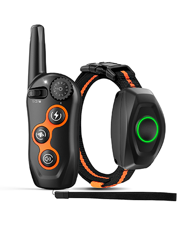 dog training collar