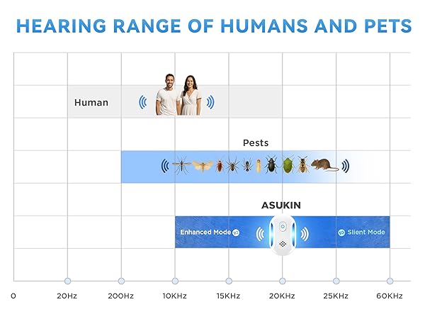Functional upgrades in 2025