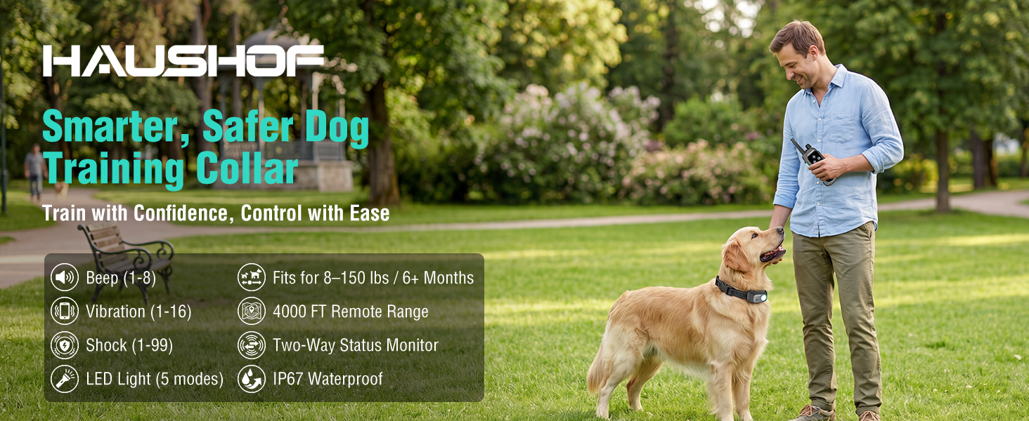 dog training collar