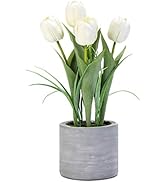 Jusdreen 1 Pot Artificial Potted Tulips Flowers with Cement Vase Vivid Tulip Flowers Arrangement ...