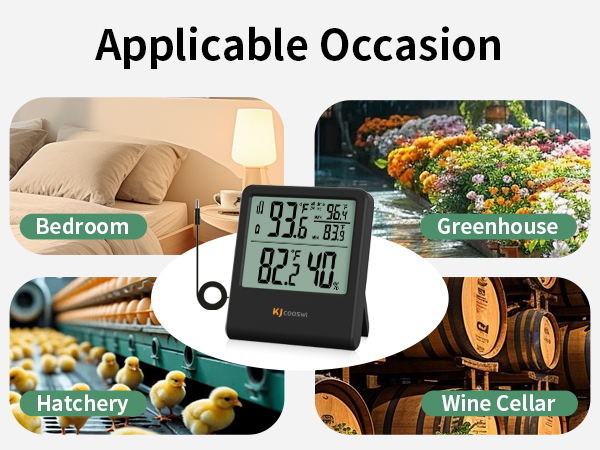 thermometer with probe