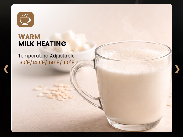 Electric Milk Frother