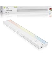 ASD 24 Inch LED Under Cabinet Lighting Plug in or Hardwired, High/Low/Off Switch, 12W 120V 3 CCT ...
