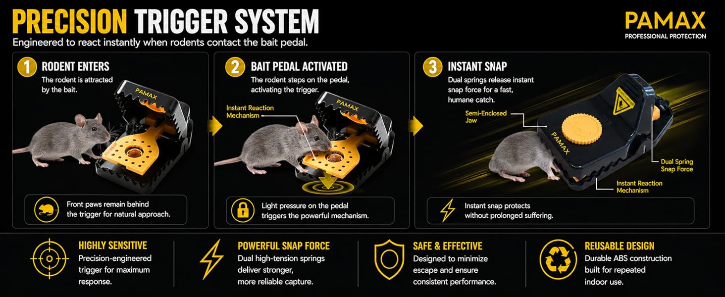 Mouse Trap Humane &amp;amp; Powerful Mouse Traps