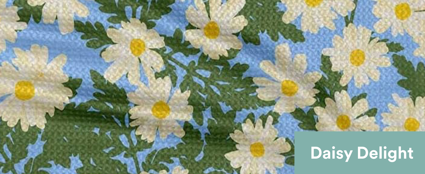 Daisy Delight