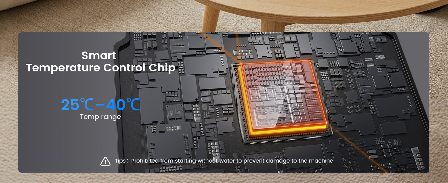 chip