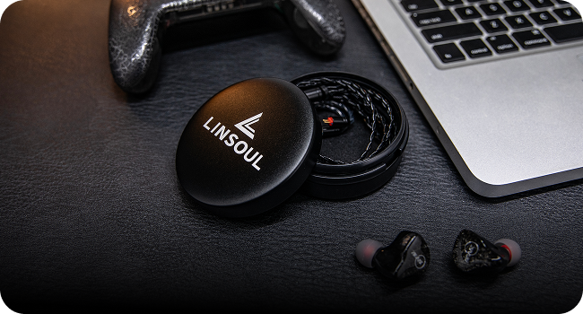 Linsoul iem case
