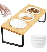 Sunhoo Elevated Cat Bowls for Indoor Cats Raised Tilted Food Water Kitty Dish Stand with 6 Cerami...