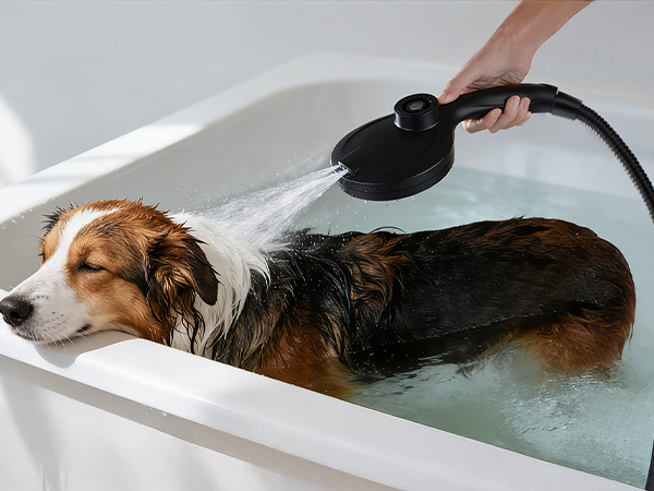 hand held shower head