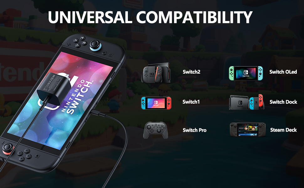 nintendo switch charger