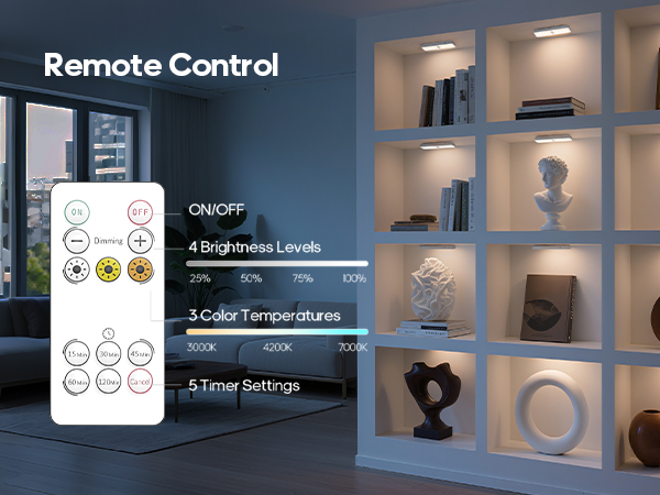 Remote Control, Timer