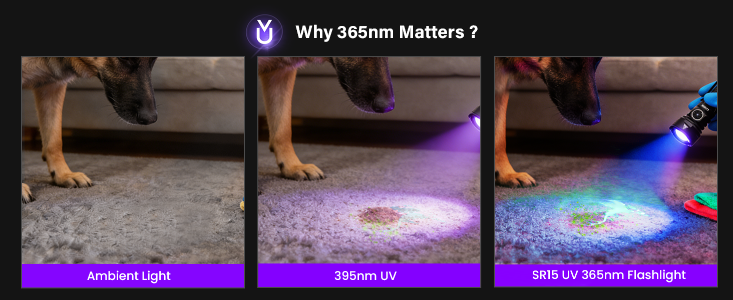 365nm edc uv light rechargeable