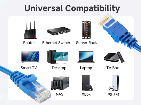Future-proof ethernet cable Cat6 for reliable wired internet network
