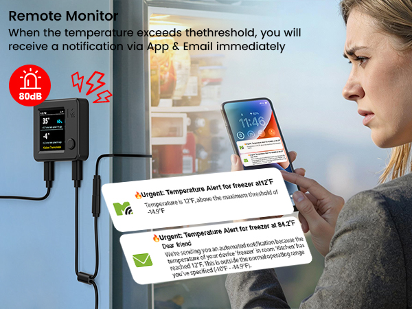 Remote Monitor