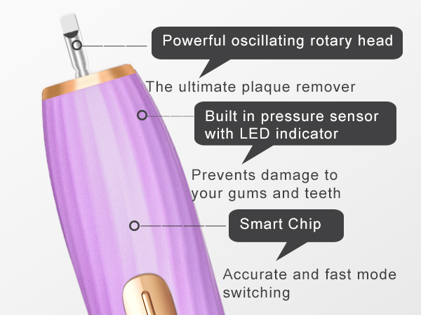 Rechargeable Toothbrush