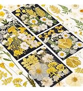 85 Pcs Dried Flowers for Crafts, Real Natural Dried Pressed Flowers in Golden &amp; White for Resin, ...