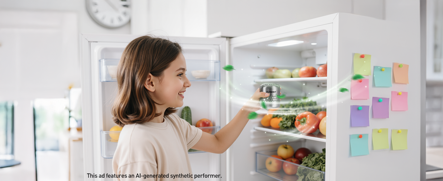 Fridge Deodorizer
