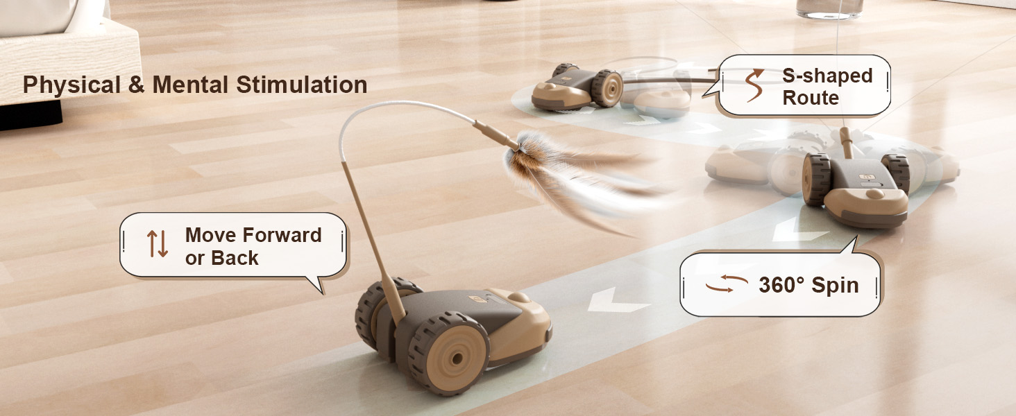 Interactive Cat Toy