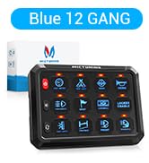 BLUE 12 GANG