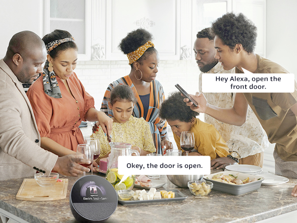 Voice Control smart door lock