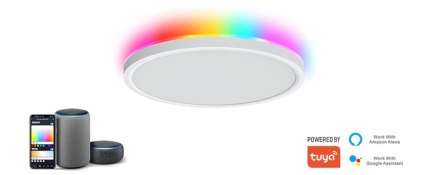smart ceiling light