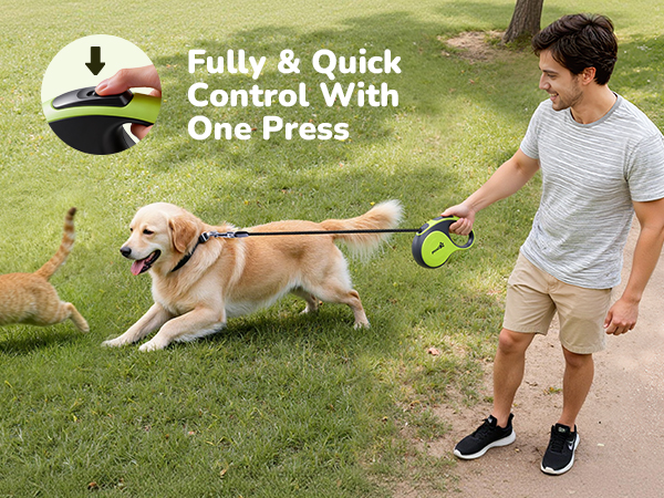 dog leash