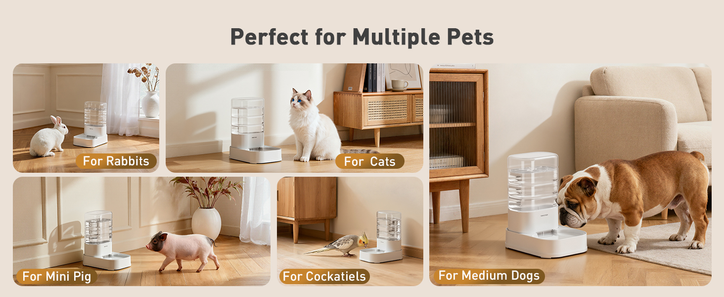 automatic dog water bowl