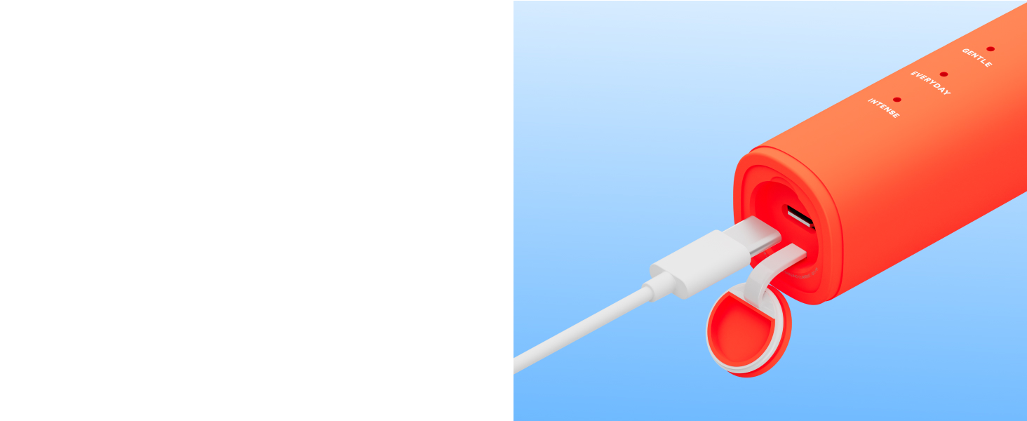 USB-C Rechargable Electric Toothbrush