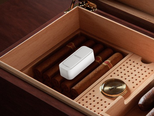 Bluetooth temperature humidity monitor
