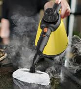 steam cleaner