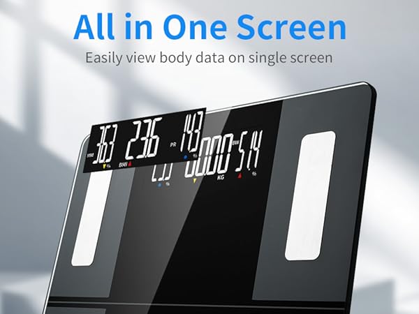 scale for body weight