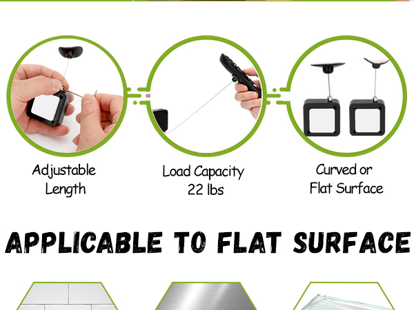 Remote Control Leash