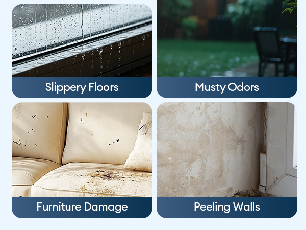 Dehumidifier for Home