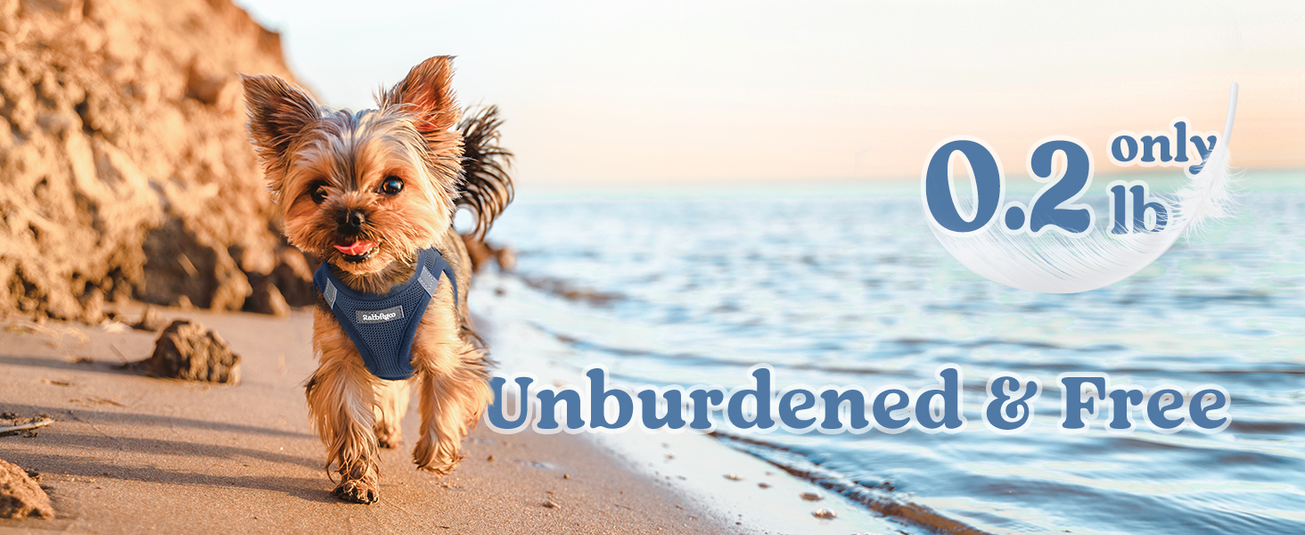 A burden free vest weighing only 0.2lbs