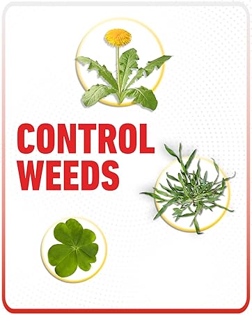 Ortho Controls Weeds like dandelions, crabgrass, clover and oxalis