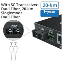 Daul Fiber