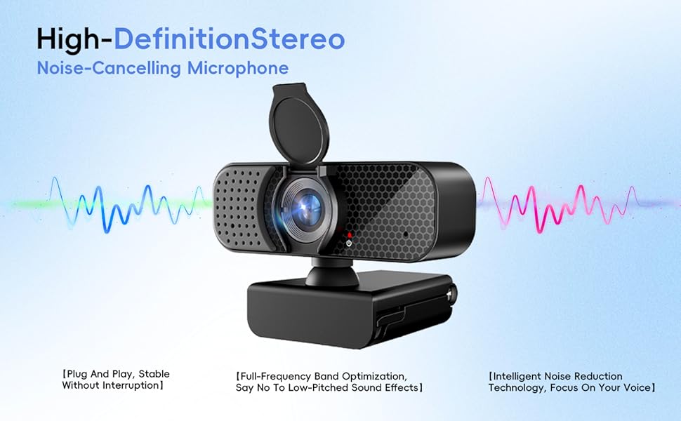 usb webcam with noise cancelling microphone for remote work