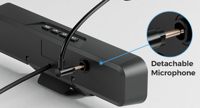 Detachable Mic