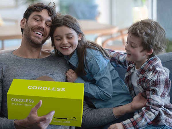 Leaf Blower with 2 Batteries and Charger