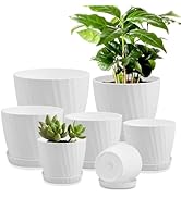 YNNICO 7 pcs Plant Pots with Drainage Holes and Saucers, Indoor Planters, Set of 7 (7.5, 7, 6.5, ...