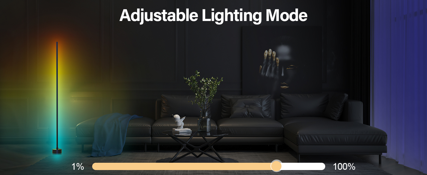 adjustable lighting