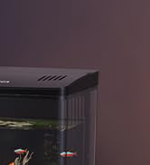 fish tank accessories