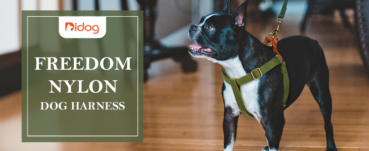 Step in Dog Harness