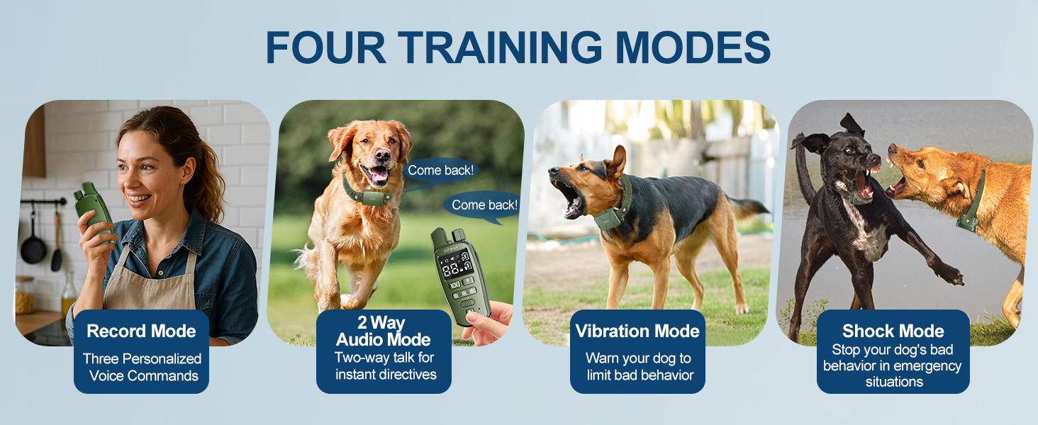 dog training collar