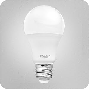 bulb